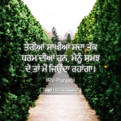 Picture 05 - ਜ਼ਬੂਰ 119:144 PANIRV - ਤੇਰੀਆਂ ਸਾਖੀਆਂ ਸਦਾ - Bible Verse Picture