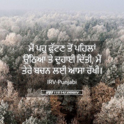 Picture 05 - ਜ਼ਬੂਰ 119:147 PANIRV - ਮੈਂ ਪਹੁ ਫੁੱਟਣ ਤੋਂ - Bible Verse Picture