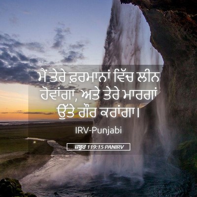 Picture 05 - ਜ਼ਬੂਰ 119:15 PANIRV - ਮੈਂ ਤੇਰੇ ਫ਼ਰਮਾਨਾਂ - Bible Verse Picture
