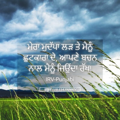 Picture 05 - ਜ਼ਬੂਰ 119:154 PANIRV - ਮੇਰਾ ਮੁਦੱਪਾ ਲੜ ਤੇ - Bible Verse Picture