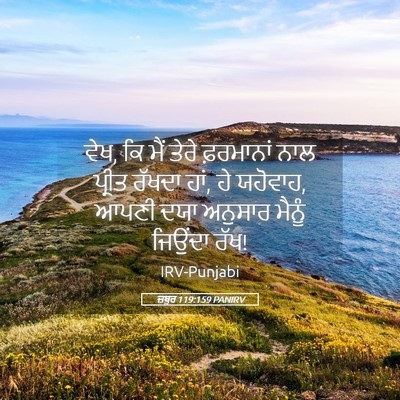 Picture 05 - ਜ਼ਬੂਰ 119:159 PANIRV - ਵੇਖ, ਕਿ ਮੈਂ ਤੇਰੇ - Bible Verse Picture