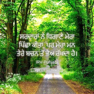 Picture 05 - ਜ਼ਬੂਰ 119:161 PANIRV - ਸਰਦਾਰਾਂ ਨੇ ਧਿਗਾਣੇ - Bible Verse Picture