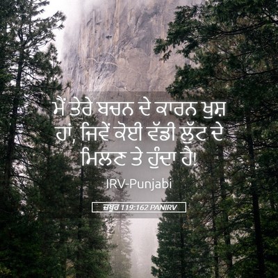 Picture 05 - ਜ਼ਬੂਰ 119:162 PANIRV - ਮੈਂ ਤੇਰੇ ਬਚਨ ਦੇ - Bible Verse Picture