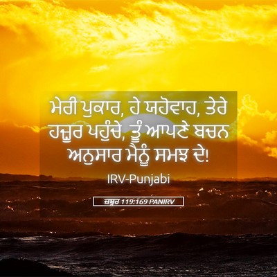 Picture 05 - ਜ਼ਬੂਰ 119:169 PANIRV - ਮੇਰੀ ਪੁਕਾਰ, ਹੇ - Bible Verse Picture
