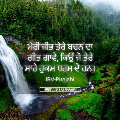 Picture 05 - ਜ਼ਬੂਰ 119:172 PANIRV - ਮੇਰੀ ਜੀਭ ਤੇਰੇ ਬਚਨ - Bible Verse Picture
