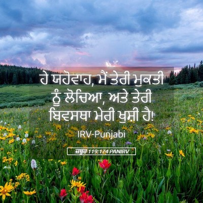 Picture 05 - ਜ਼ਬੂਰ 119:174 PANIRV - ਹੇ ਯਹੋਵਾਹ, ਮੈਂ ਤੇਰੀ - Bible Verse Picture