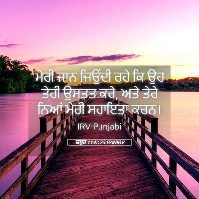 Picture 05 - ਜ਼ਬੂਰ 119:175 PANIRV - ਮੇਰੀ ਜਾਨ ਜਿਉਂਦੀ - Bible Verse Picture