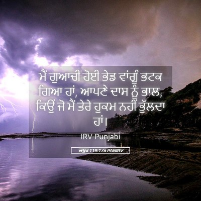 Picture 05 - ਜ਼ਬੂਰ 119:176 PANIRV - ਮੈਂ ਗੁਆਚੀ ਹੋਈ ਭੇਡ - Bible Verse Picture