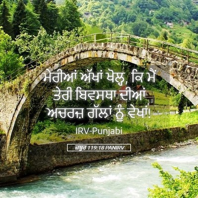 Picture 05 - ਜ਼ਬੂਰ 119:18 PANIRV - ਮੇਰੀਆਂ ਅੱਖਾਂ - Bible Verse Picture