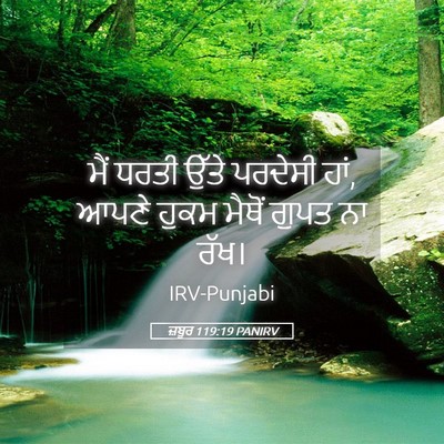 Picture 05 - ਜ਼ਬੂਰ 119:19 PANIRV - ਮੈਂ ਧਰਤੀ ਉੱਤੇ - Bible Verse Picture