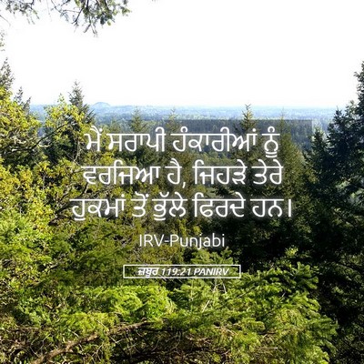 Picture 05 - ਜ਼ਬੂਰ 119:21 PANIRV - ਮੈਂ ਸਰਾਪੀ - Bible Verse Picture