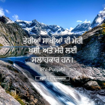 Picture 05 - ਜ਼ਬੂਰ 119:24 PANIRV - ਤੇਰੀਆਂ ਸਾਖੀਆਂ ਵੀ - Bible Verse Picture