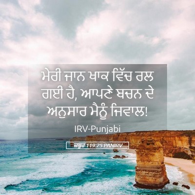 Picture 05 - ਜ਼ਬੂਰ 119:25 PANIRV - ਮੇਰੀ ਜਾਨ ਖਾਕ ਵਿੱਚ - Bible Verse Picture