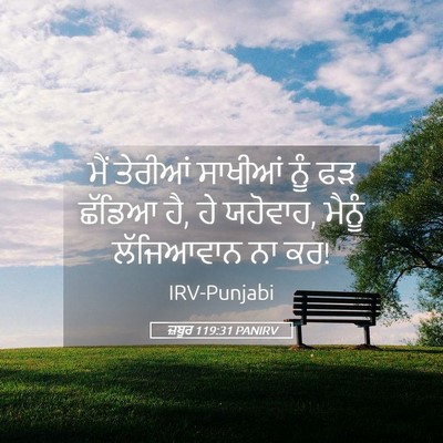 Picture 05 - ਜ਼ਬੂਰ 119:31 PANIRV - ਮੈਂ ਤੇਰੀਆਂ ਸਾਖੀਆਂ - Bible Verse Picture
