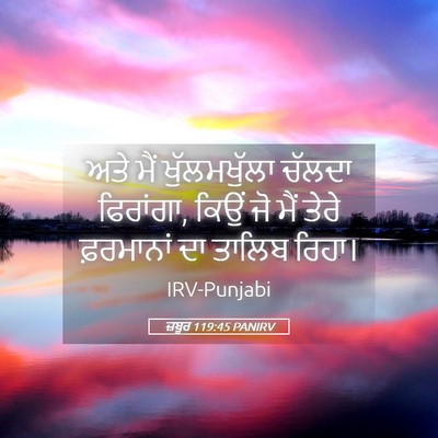 Picture 05 - ਜ਼ਬੂਰ 119:45 PANIRV - ਅਤੇ ਮੈਂ - Bible Verse Picture