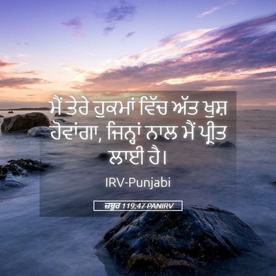 Picture 05 - ਜ਼ਬੂਰ 119:47 PANIRV - ਮੈਂ ਤੇਰੇ ਹੁਕਮਾਂ - Bible Verse Picture