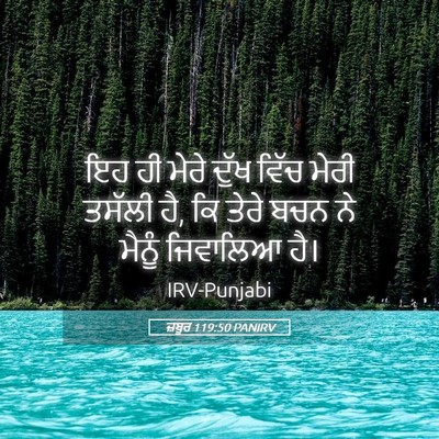 Picture 05 - ਜ਼ਬੂਰ 119:50 PANIRV - ਇਹ ਹੀ ਮੇਰੇ ਦੁੱਖ - Bible Verse Picture