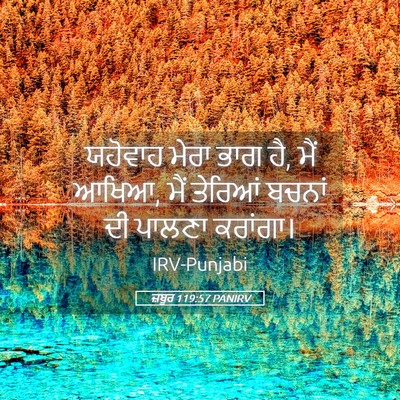 Picture 05 - ਜ਼ਬੂਰ 119:57 PANIRV - ਯਹੋਵਾਹ ਮੇਰਾ ਭਾਗ ਹੈ, - Bible Verse Picture