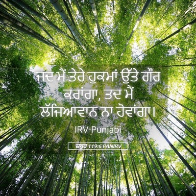 Picture 05 - ਜ਼ਬੂਰ 119:6 PANIRV - ਜਦ ਮੈਂ ਤੇਰੇ ਹੁਕਮਾਂ - Bible Verse Picture