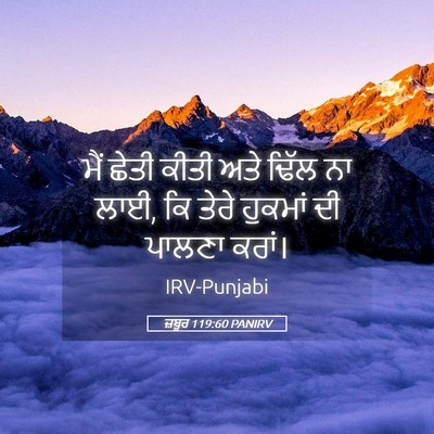 Picture 05 - ਜ਼ਬੂਰ 119:60 PANIRV - ਮੈਂ ਛੇਤੀ ਕੀਤੀ ਅਤੇ - Bible Verse Picture