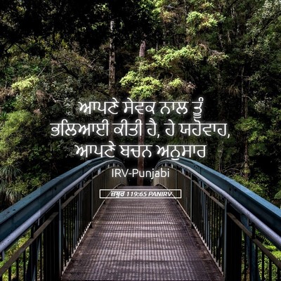 Picture 05 - ਜ਼ਬੂਰ 119:65 PANIRV - ਆਪਣੇ ਸੇਵਕ ਨਾਲ ਤੂੰ - Bible Verse Picture