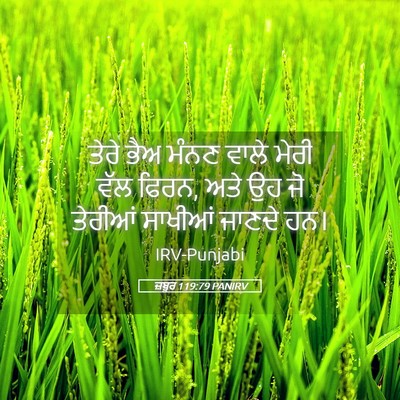 Picture 05 - ਜ਼ਬੂਰ 119:79 PANIRV - ਤੇਰੇ ਭੈਅ ਮੰਨਣ ਵਾਲੇ - Bible Verse Picture