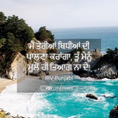 Picture 05 - ਜ਼ਬੂਰ 119:8 PANIRV - ਮੈਂ ਤੇਰੀਆਂ ਬਿਧੀਆਂ - Bible Verse Picture