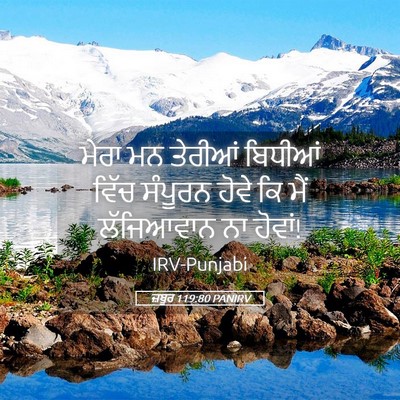 Picture 05 - ਜ਼ਬੂਰ 119:80 PANIRV - ਮੇਰਾ ਮਨ ਤੇਰੀਆਂ - Bible Verse Picture