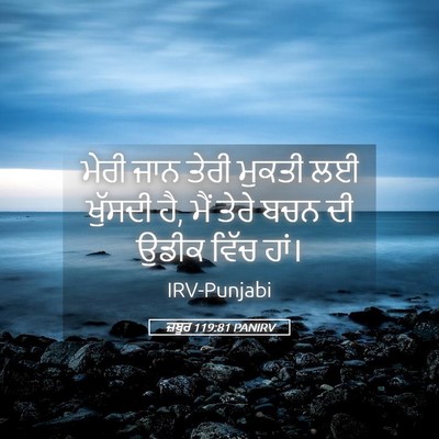 Picture 05 - ਜ਼ਬੂਰ 119:81 PANIRV - ਮੇਰੀ ਜਾਨ ਤੇਰੀ - Bible Verse Picture