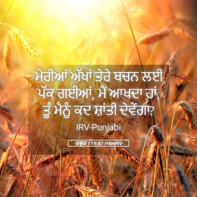 Picture 05 - ਜ਼ਬੂਰ 119:82 PANIRV - ਮੇਰੀਆਂ ਅੱਖਾਂ ਤੇਰੇ - Bible Verse Picture