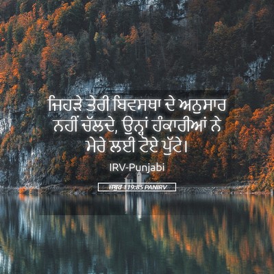 Picture 05 - ਜ਼ਬੂਰ 119:85 PANIRV - ਜਿਹੜੇ ਤੇਰੀ ਬਿਵਸਥਾ - Bible Verse Picture