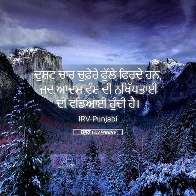 Picture 05 - ਜ਼ਬੂਰ 12:8 PANIRV - ਦੁਸ਼ਟ ਚਾਰ ਚੁਫ਼ੇਰੇ - Bible Verse Picture