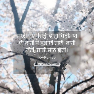 Picture 05 - ਜ਼ਬੂਰ 124:7 PANIRV - ਸਾਡੀ ਜਾਨ ਚਿੜ੍ਹੀ - Bible Verse Picture