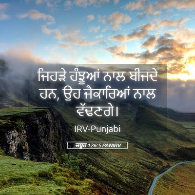 Picture 05 - ਜ਼ਬੂਰ 126:5 PANIRV - ਜਿਹੜੇ ਹੰਝੂਆਂ ਨਾਲ - Bible Verse Picture