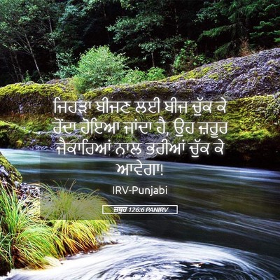 Picture 05 - ਜ਼ਬੂਰ 126:6 PANIRV - ਜਿਹੜਾ ਬੀਜਣ ਲਈ ਬੀਜ - Bible Verse Picture