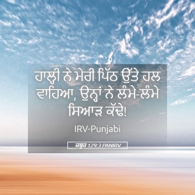 Picture 05 - ਜ਼ਬੂਰ 129:3 PANIRV - ਹਾਲ੍ਹੀ ਨੇ ਮੇਰੀ - Bible Verse Picture