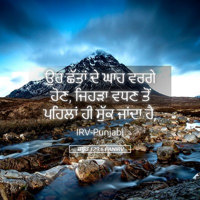 Picture 05 - ਜ਼ਬੂਰ 129:6 PANIRV - ਉਹ ਛੱਤਾਂ ਦੇ ਘਾਹ - Bible Verse Picture