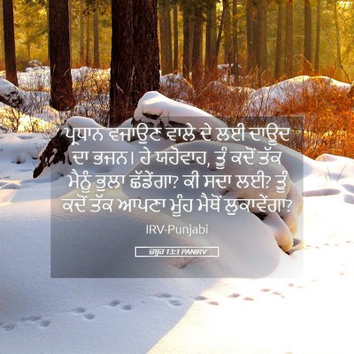 Picture 05 - ਜ਼ਬੂਰ 13:1 PANIRV - ਪ੍ਰਧਾਨ ਵਜਾਉਣ ਵਾਲੇ - Bible Verse Picture