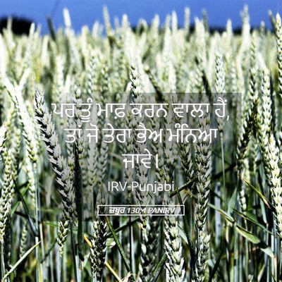 Picture 05 - ਜ਼ਬੂਰ 130:4 PANIRV - ਪਰ ਤੂੰ ਮਾਫ਼ ਕਰਨ - Bible Verse Picture