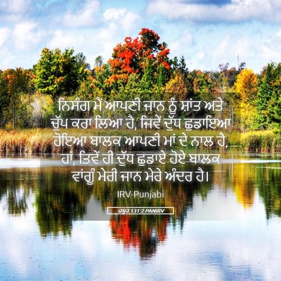 Picture 05 - ਜ਼ਬੂਰ 131:2 PANIRV - ਨਿਸੰਗ ਮੈਂ ਆਪਣੀ ਜਾਨ - Bible Verse Picture