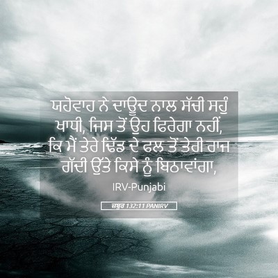 Picture 05 - ਜ਼ਬੂਰ 132:11 PANIRV - ਯਹੋਵਾਹ ਨੇ ਦਾਊਦ ਨਾਲ - Bible Verse Picture