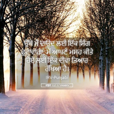 Picture 05 - ਜ਼ਬੂਰ 132:17 PANIRV - ਉੱਥੇ ਮੈਂ ਦਾਊਦ ਲਈ - Bible Verse Picture