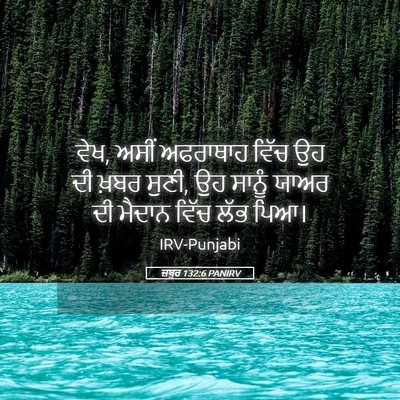 Picture 05 - ਜ਼ਬੂਰ 132:6 PANIRV - ਵੇਖ, ਅਸੀਂ ਅਫਰਾਥਾਹ - Bible Verse Picture