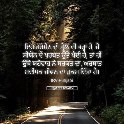 Picture 05 - ਜ਼ਬੂਰ 133:3 PANIRV - ਇਹ ਹਰਮੋਨ ਦੀ ਤ੍ਰੇਲ - Bible Verse Picture