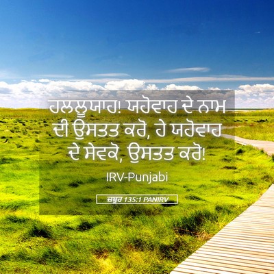 Picture 05 - ਜ਼ਬੂਰ 135:1 PANIRV - ਹਲਲੂਯਾਹ! ਯਹੋਵਾਹ ਦੇ - Bible Verse Picture