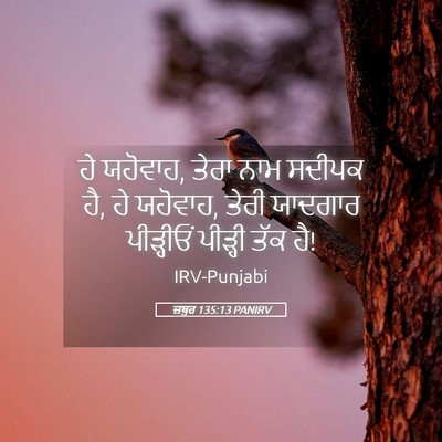 Picture 05 - ਜ਼ਬੂਰ 135:13 PANIRV - ਹੇ ਯਹੋਵਾਹ, ਤੇਰਾ ਨਾਮ - Bible Verse Picture
