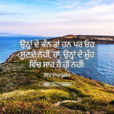 Picture 05 - ਜ਼ਬੂਰ 135:17 PANIRV - ਉਨ੍ਹਾਂ ਦੇ ਕੰਨ ਤਾਂ - Bible Verse Picture