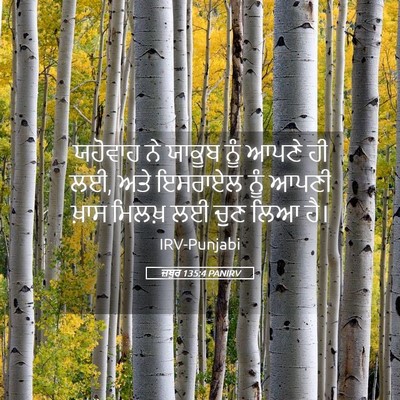 Picture 05 - ਜ਼ਬੂਰ 135:4 PANIRV - ਯਹੋਵਾਹ ਨੇ ਯਾਕੂਬ - Bible Verse Picture