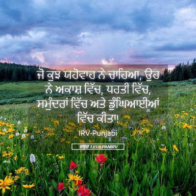 Picture 05 - ਜ਼ਬੂਰ 135:6 PANIRV - ਜੋ ਕੁਝ ਯਹੋਵਾਹ ਨੇ - Bible Verse Picture