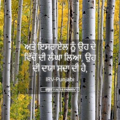 Picture 05 - ਜ਼ਬੂਰ 136:14 PANIRV - ਅਤੇ ਇਸਰਾਏਲ ਨੂੰ ਉਹ - Bible Verse Picture